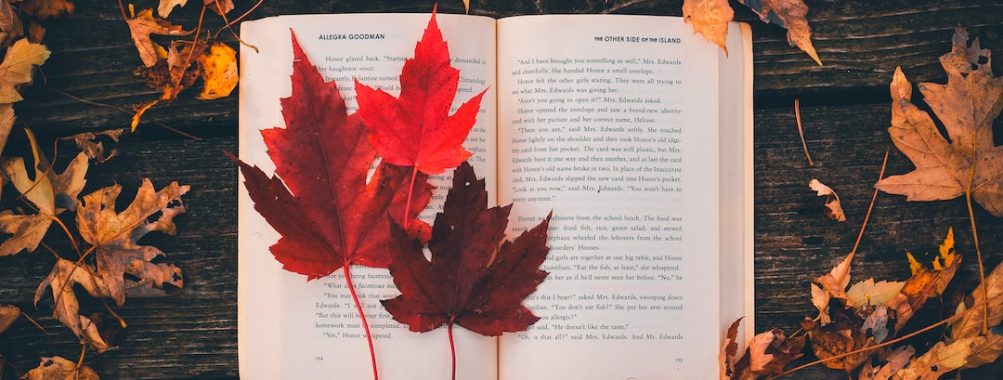 加拿大有几个省