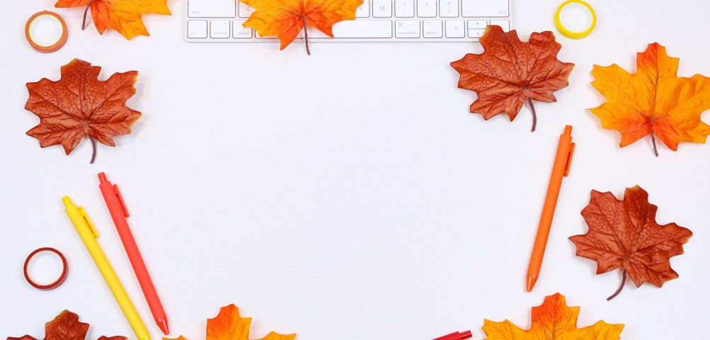 The Coders Programming Themselves Out of a Job