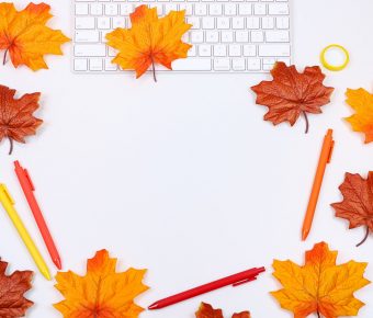 The Coders Programming Themselves Out of a Job